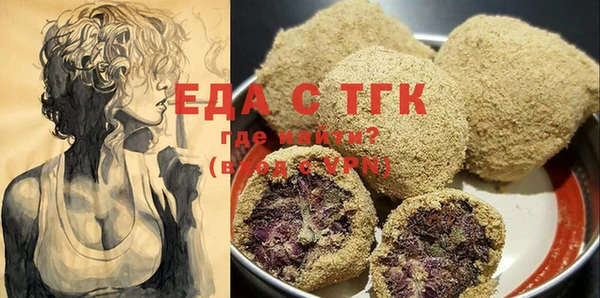 шишки Каменка