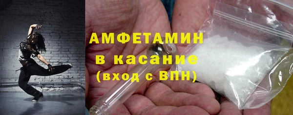 шишки Каменка