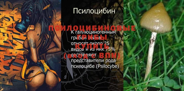 шишки Каменка