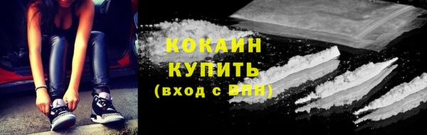 шишки Каменка
