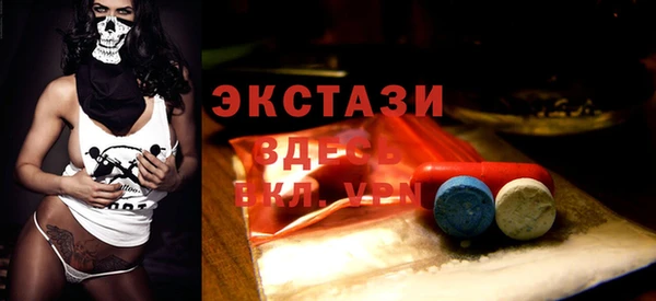 шишки Каменка