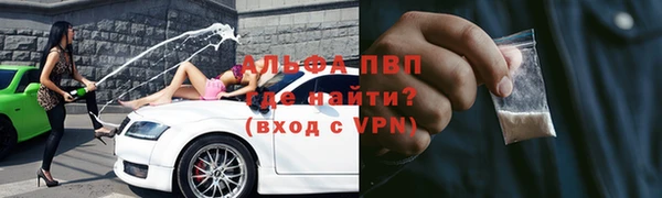 шишки Каменка