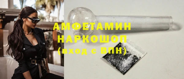шишки Каменка