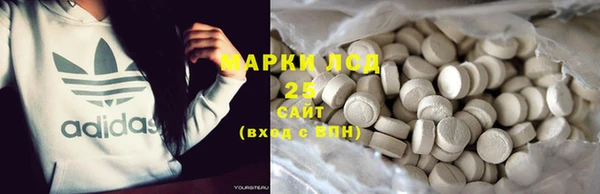 шишки Каменка