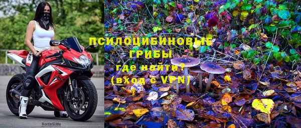 шишки Каменка