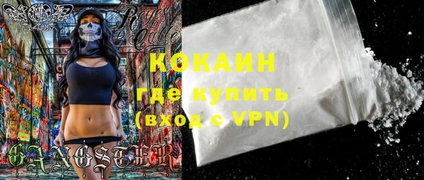 шишки Каменка