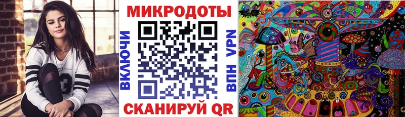Купить  Великий Устюг  Галлюциногенные грибы Cubensis 