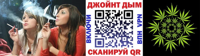 Купить закладки  Великий Устюг  Бошки Шишки Amnesia 
